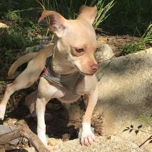 Meet your Posher, Td